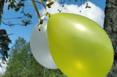 Feest in het Prinsenpark