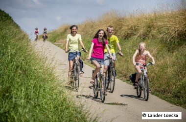 Geleide Fietstocht naar het Witloofmuseum