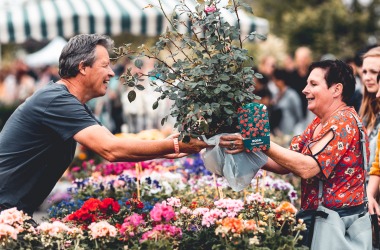 Plantendag met Kunstenaarsmarkt 