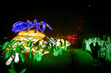 Foto lichtfestival