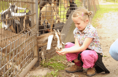 Kinderboerderij Rivierenhof