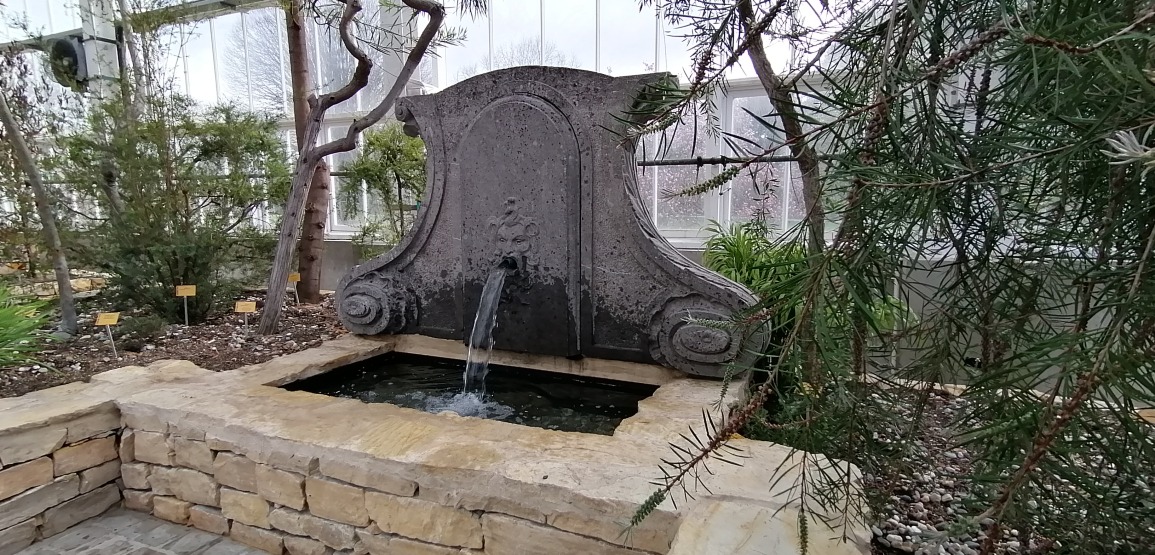 Plantentuin