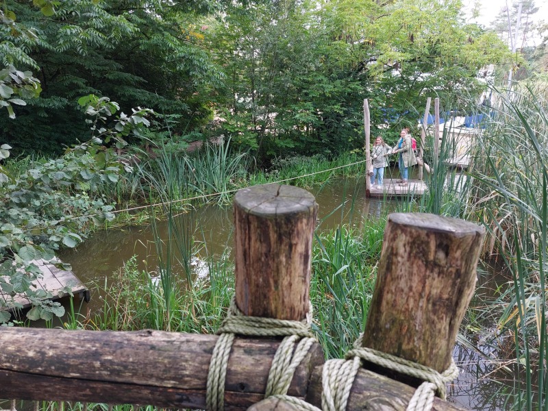 Vlotjes op het vlot in Planckendael