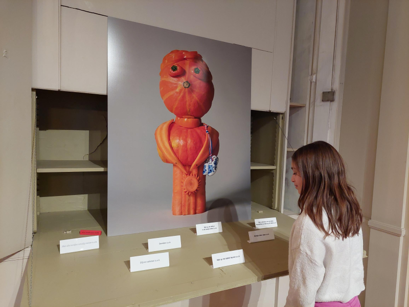 Knotsgekke installaties in Burpindale