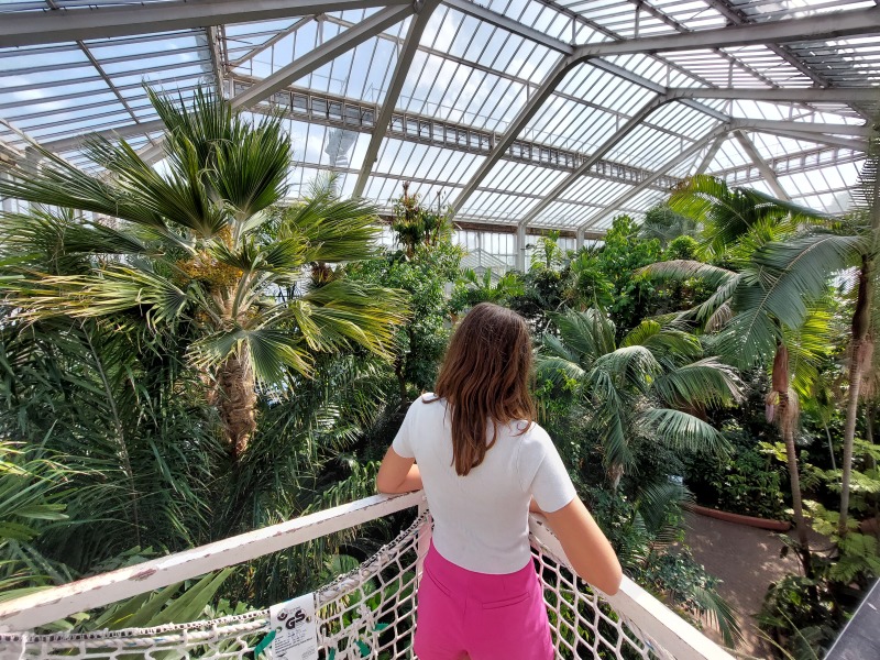 Het Plantenpaleis in de Planentuin