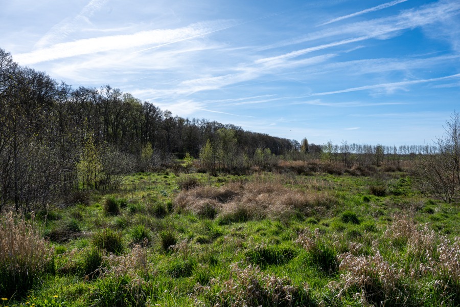 Landschap