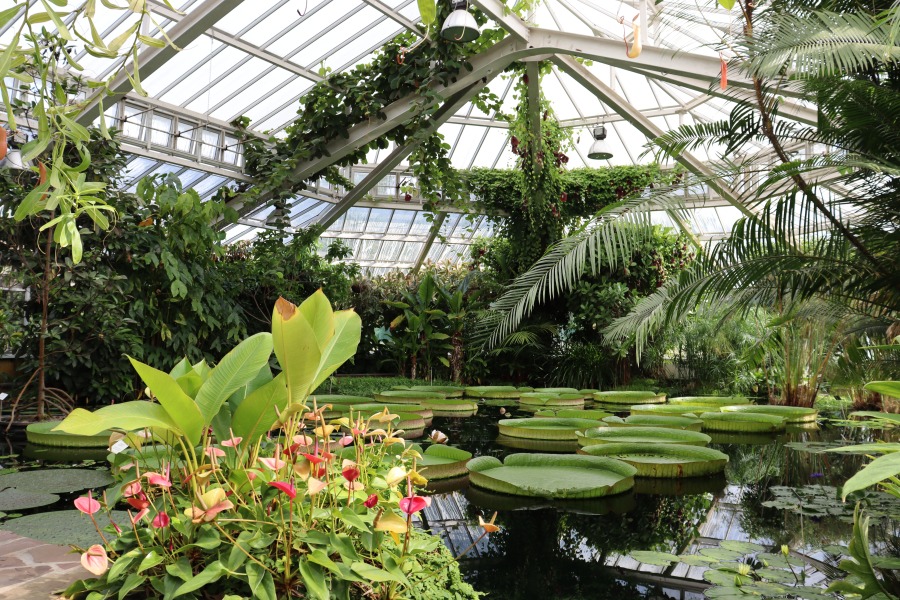 Het Plantenpaleis in de Planentuin