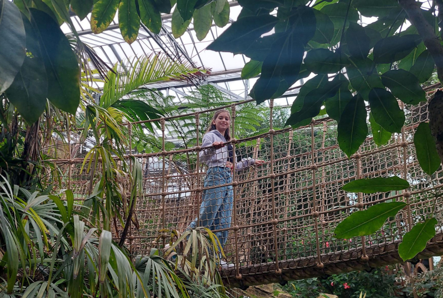 Junglehangbrug in Orang Oetan Kingdom