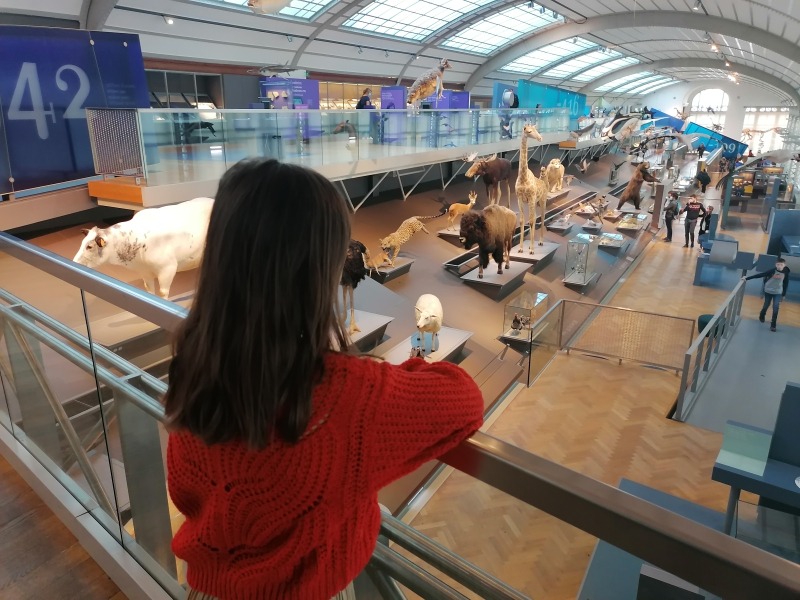 MuseumNatuurwetenschappen