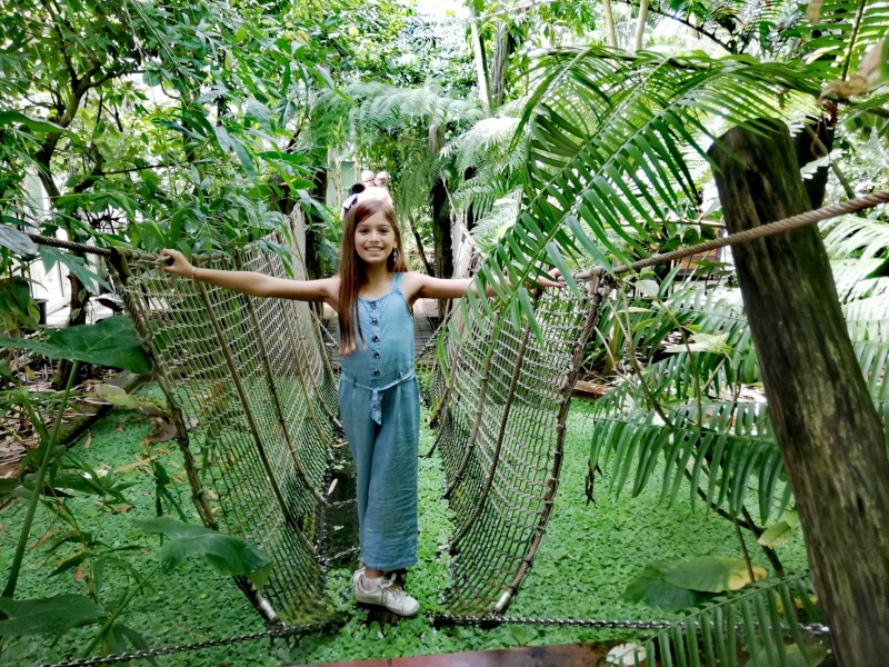 Plantenpaleis