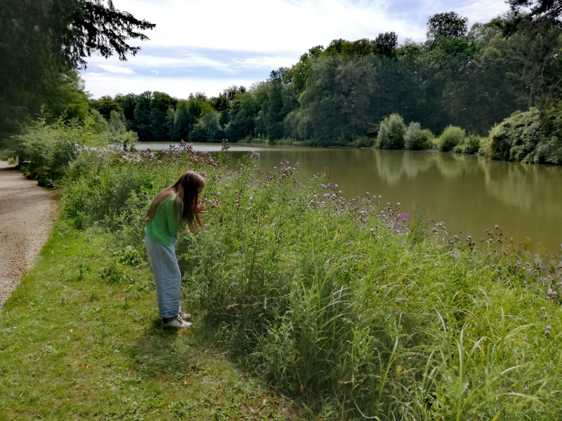 PlantentuinMeise