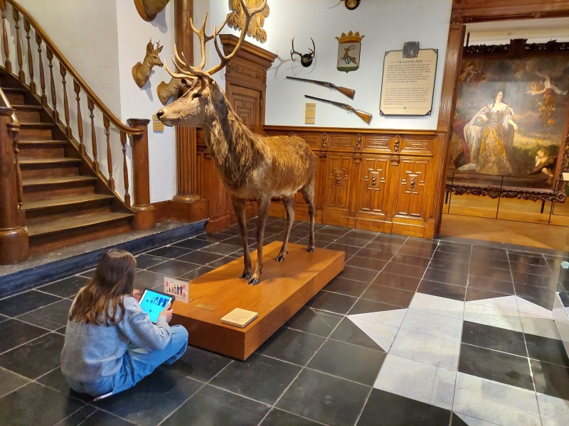 Een duik in de geschiedenis in het Taxandriamuseum