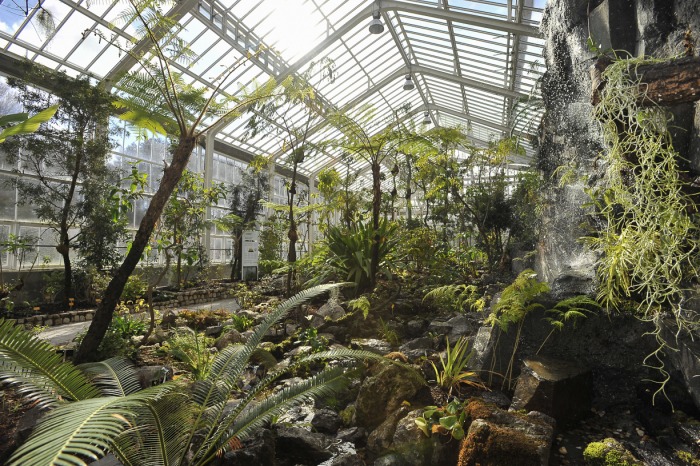 Plantentuin