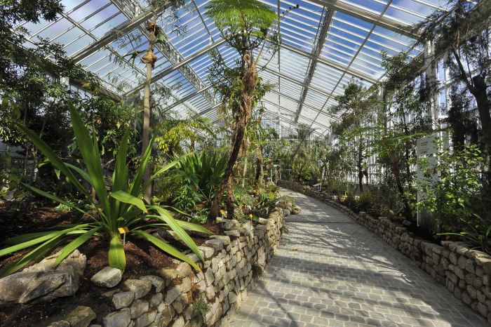 Plantentuin