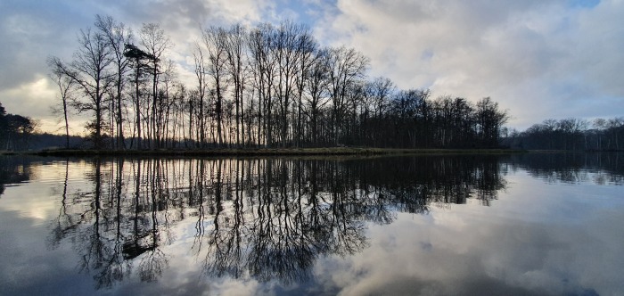 bokrijk