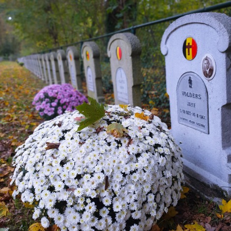 Belgisch Kerkhof Leopoldsburg