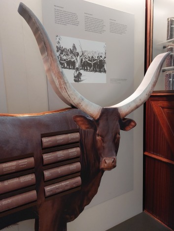 Spelletje in het AfricaMuseum