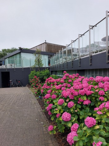 Zicht op het restaurant van het Koninginnehof