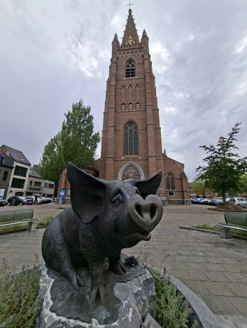 Het schattigste standbeeld van een varken voor de kerk van Sint-Gillis Dendermonde