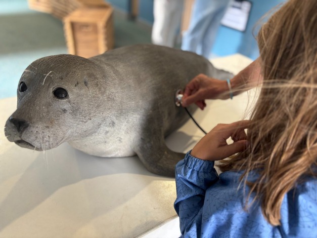 De kinderen verzorgen met plezier de zeehondjes, ook al zijn ze niet echt