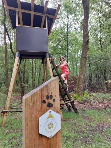 Wandelen in Nationaal Park Hoge Kempen