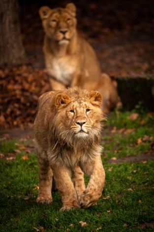 Zoo