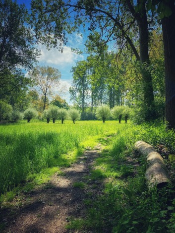 Prachtige natuur in Overbroek, Sint-Truiden