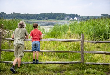 Provinciedomein Het Vinne