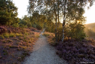 Toegangspoort Mechelse Heide