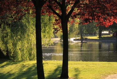 Provinciaal groendomein Vrijbroekpark