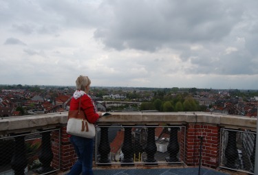 Panorama op het Belfort