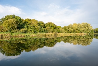 Oude Leiearm