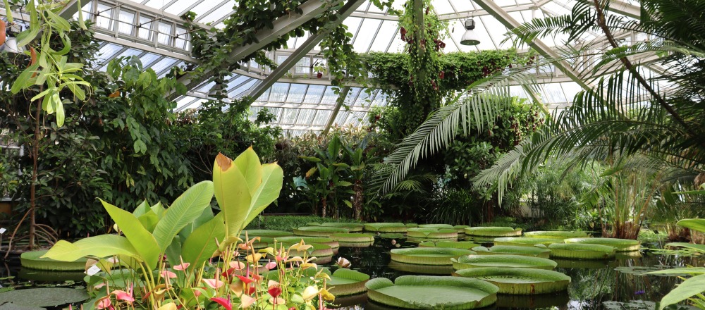 Plantentuin Meise