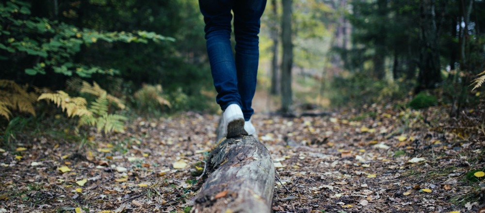 wandelapps