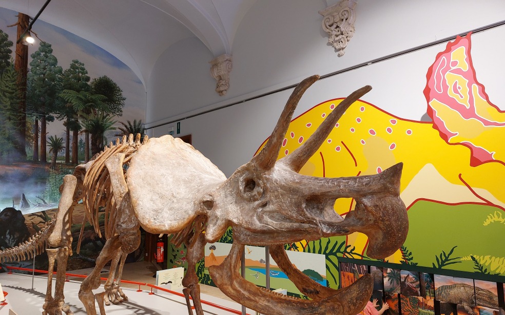 triceratops