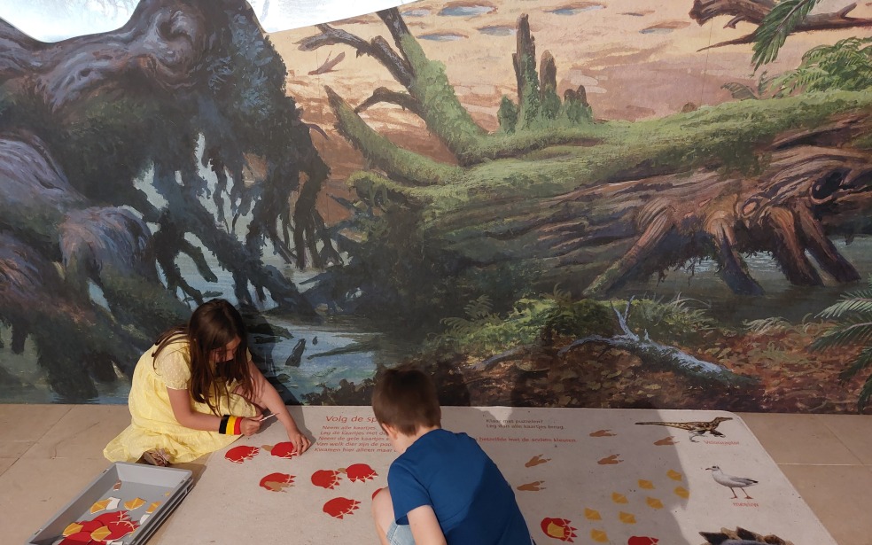 spelen bij de dino's