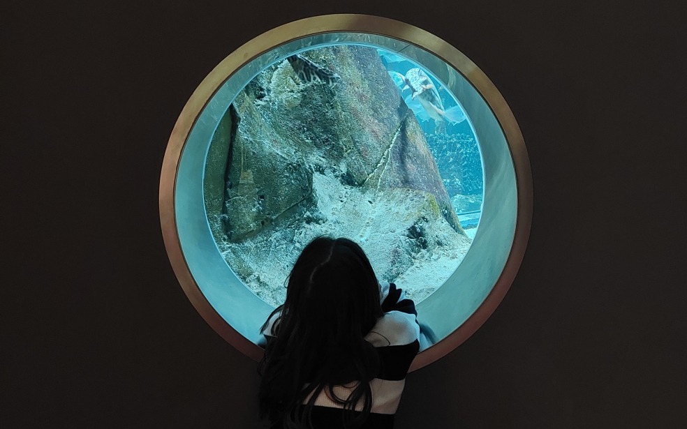 aquarium