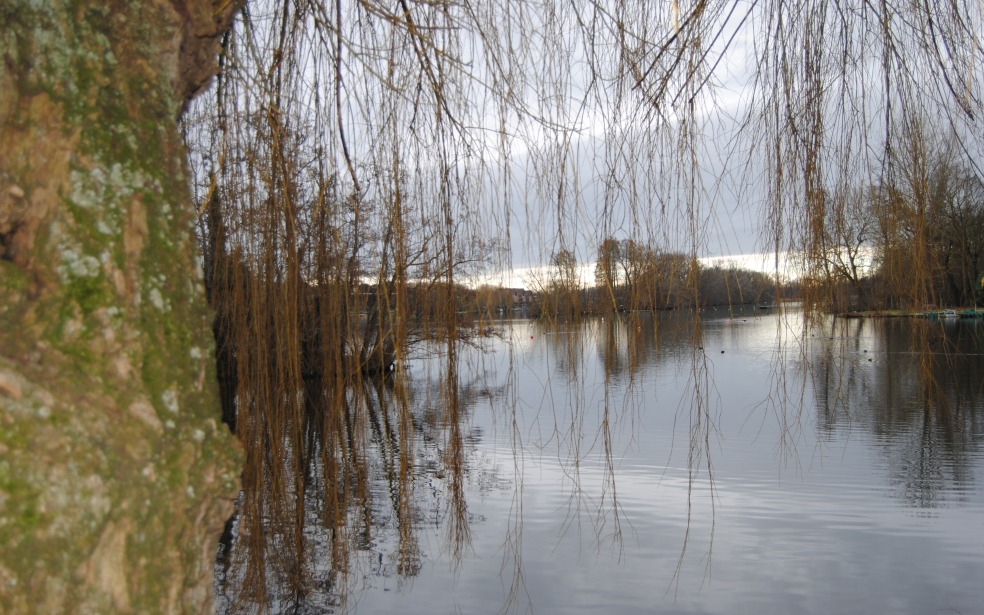 Zicht op het Donkmeer
