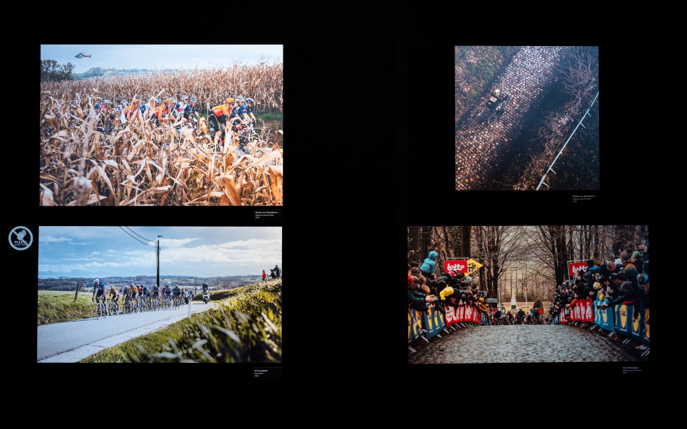 collage Ronde van Vlaanderen 2020