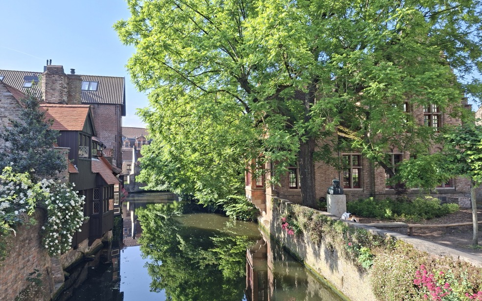 Zicht op de reien