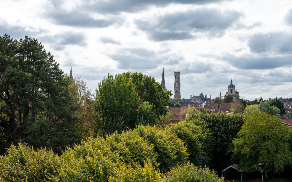Panoramisch uitzicht op de stad vanuit de molen
