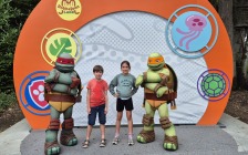 Turtles