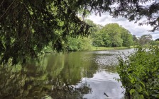 plantentuin